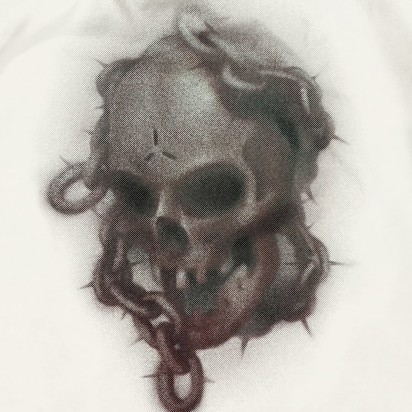 CAMISETA REGULAR   "SKULL"