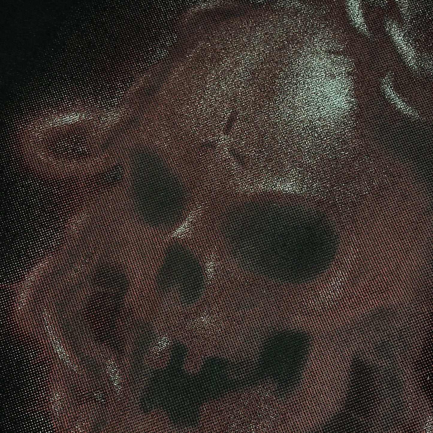CAMISETA REGULAR   "SKULL"