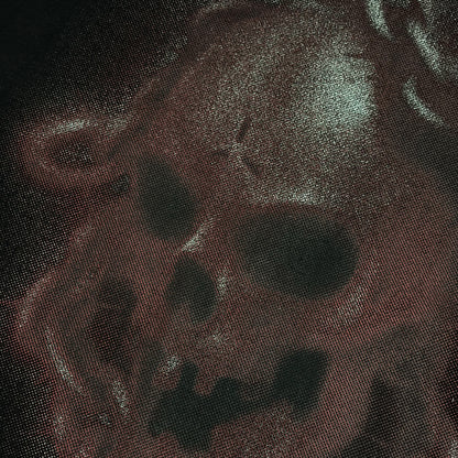 CAMISETA REGULAR   "SKULL"