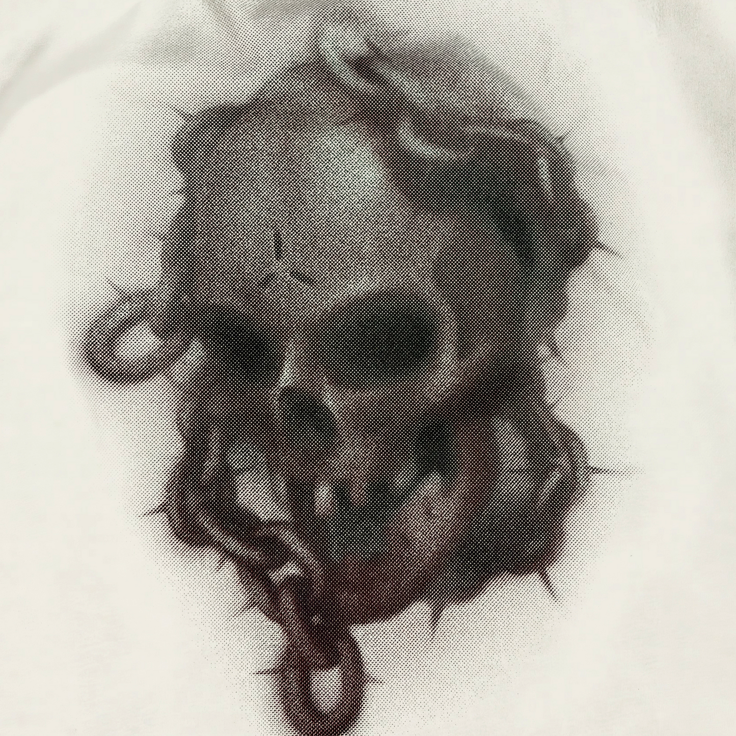 CAMISETA REGULAR   "SKULL"