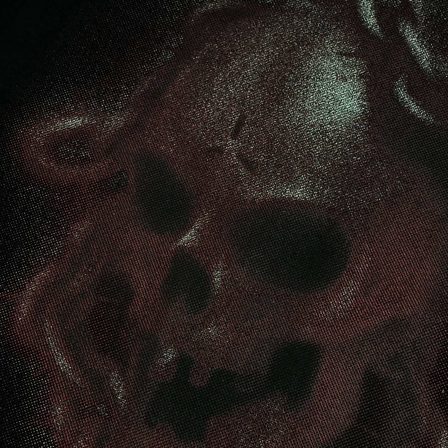 CAMISETA REGULAR   "SKULL"