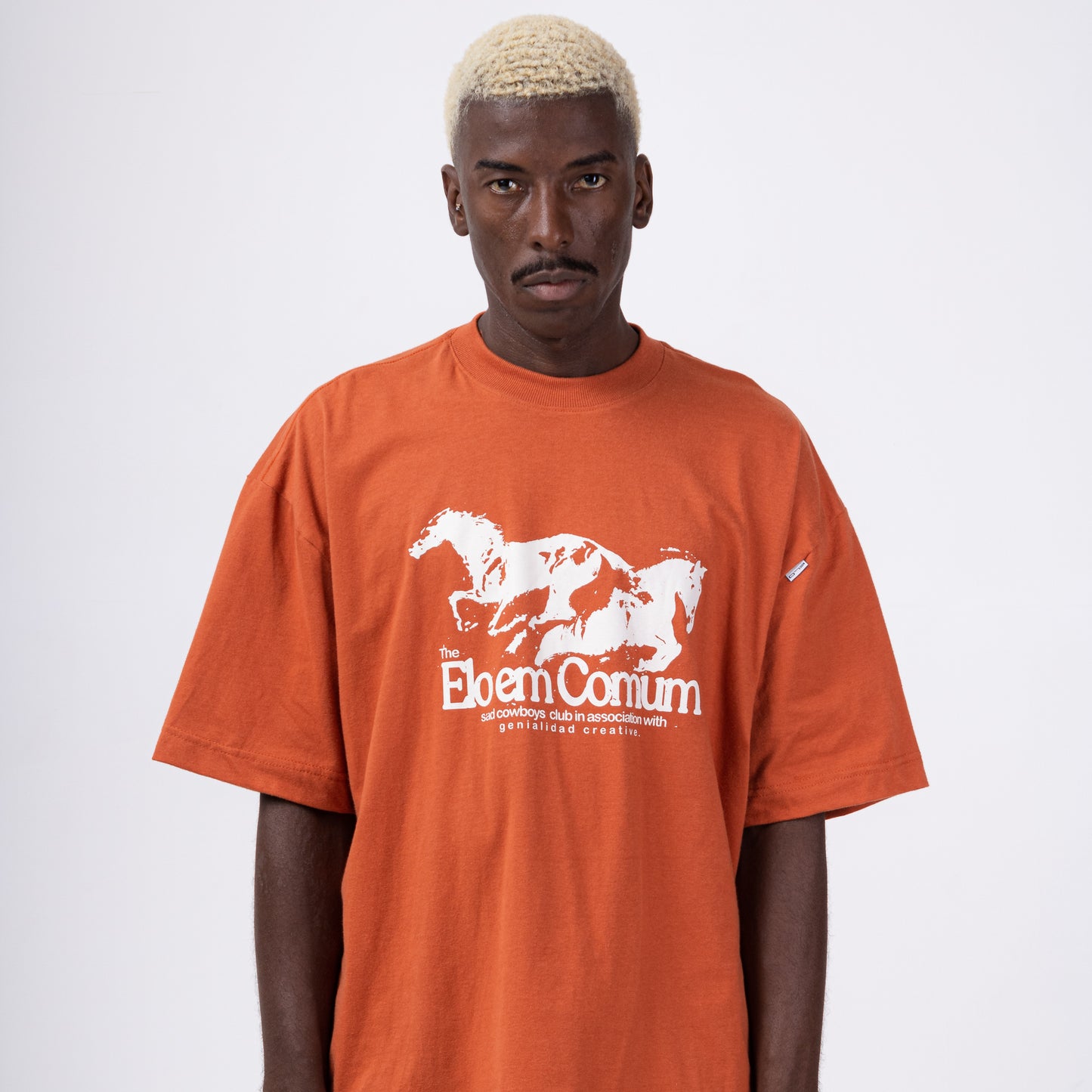 CAMISETA OVERSIZED “DUST”