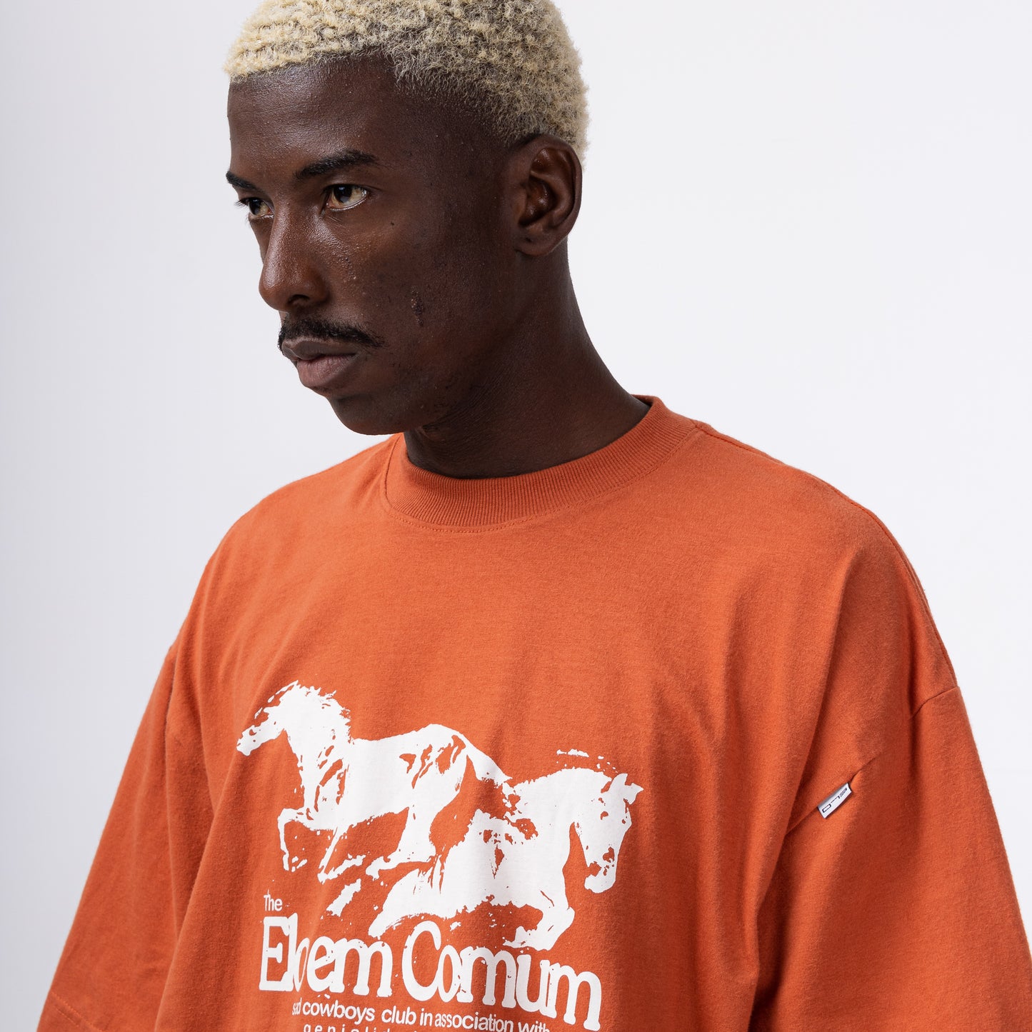 CAMISETA OVERSIZED “DUST”