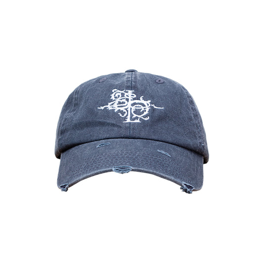 DAD HAT  “DESTROYED”