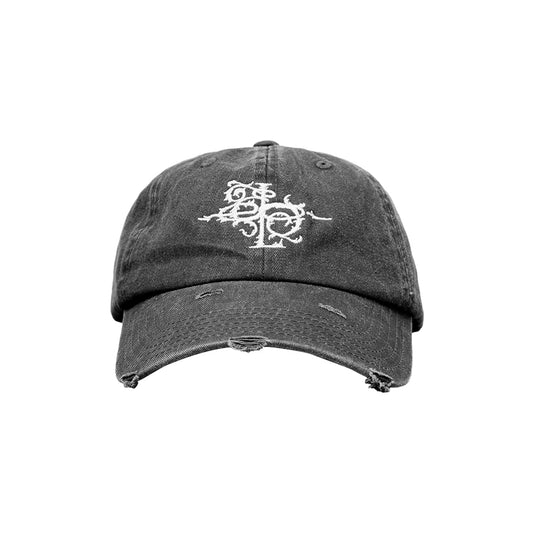 DAD HAT  “DESTROYED”