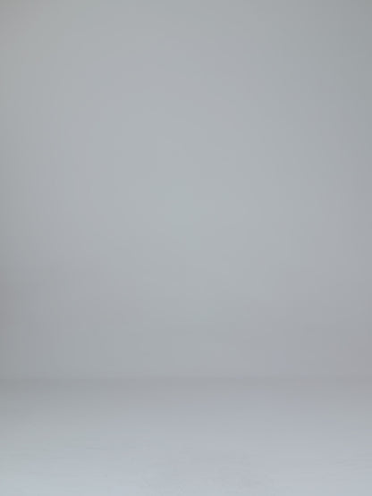 CAMISETA REGULAR  "SMARTPHONE"